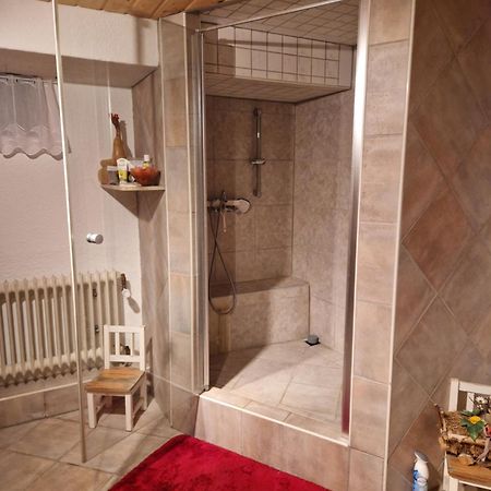 Grosses Gemuetliches Zimmer Mit Eigener Dusche Und Sauna Auf Wunsch Rheinstetten Exterior photo